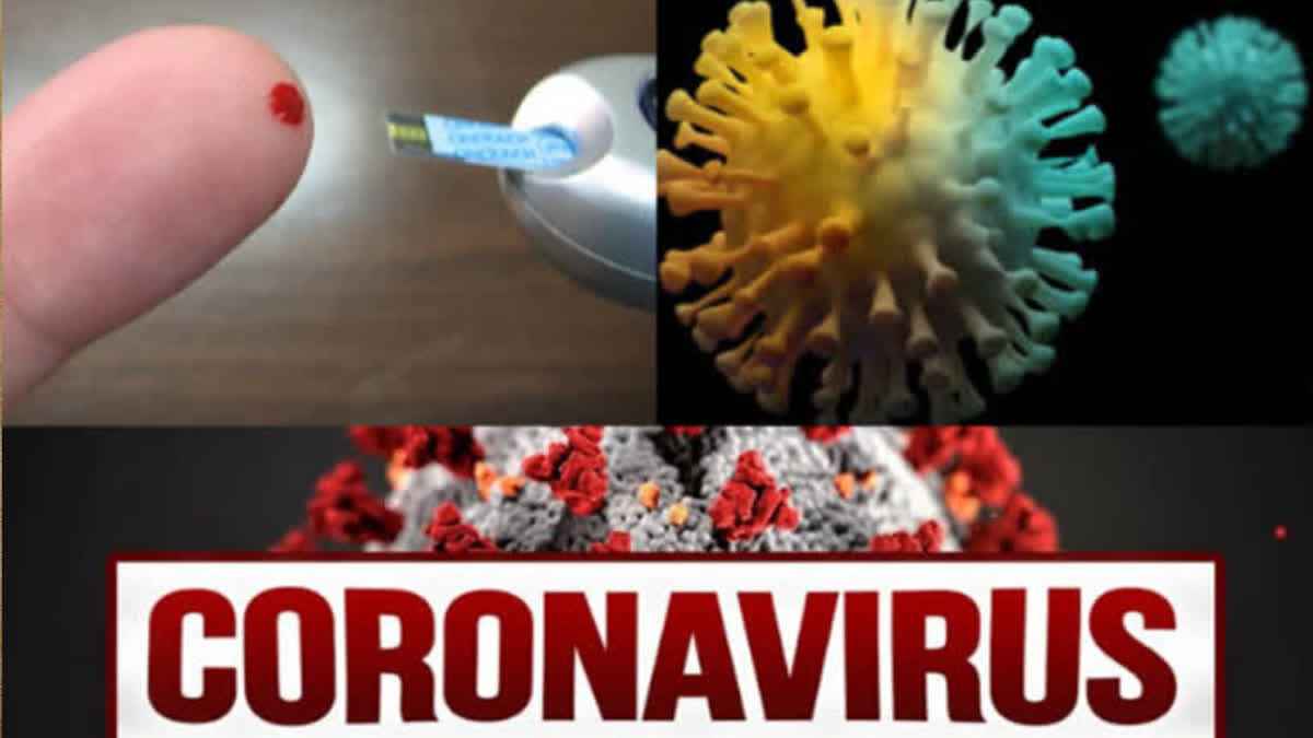 1200 675 24204671 thumbnail 16x9 corona