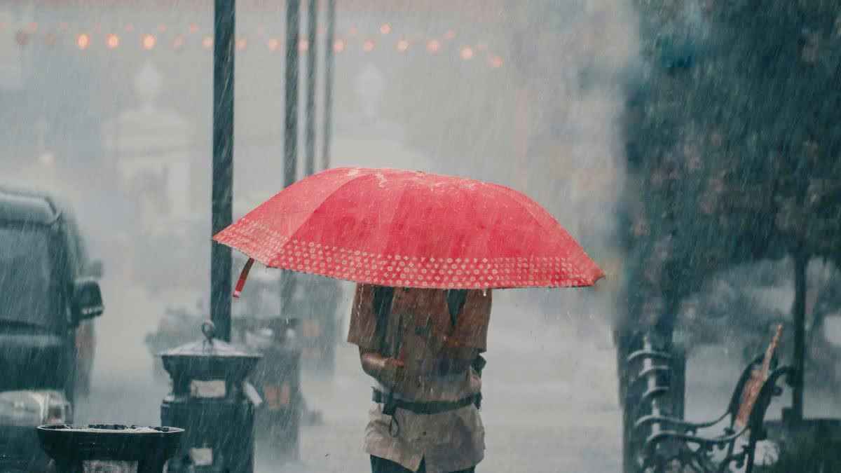 1200 675 24205076 thumbnail 16x9 pick