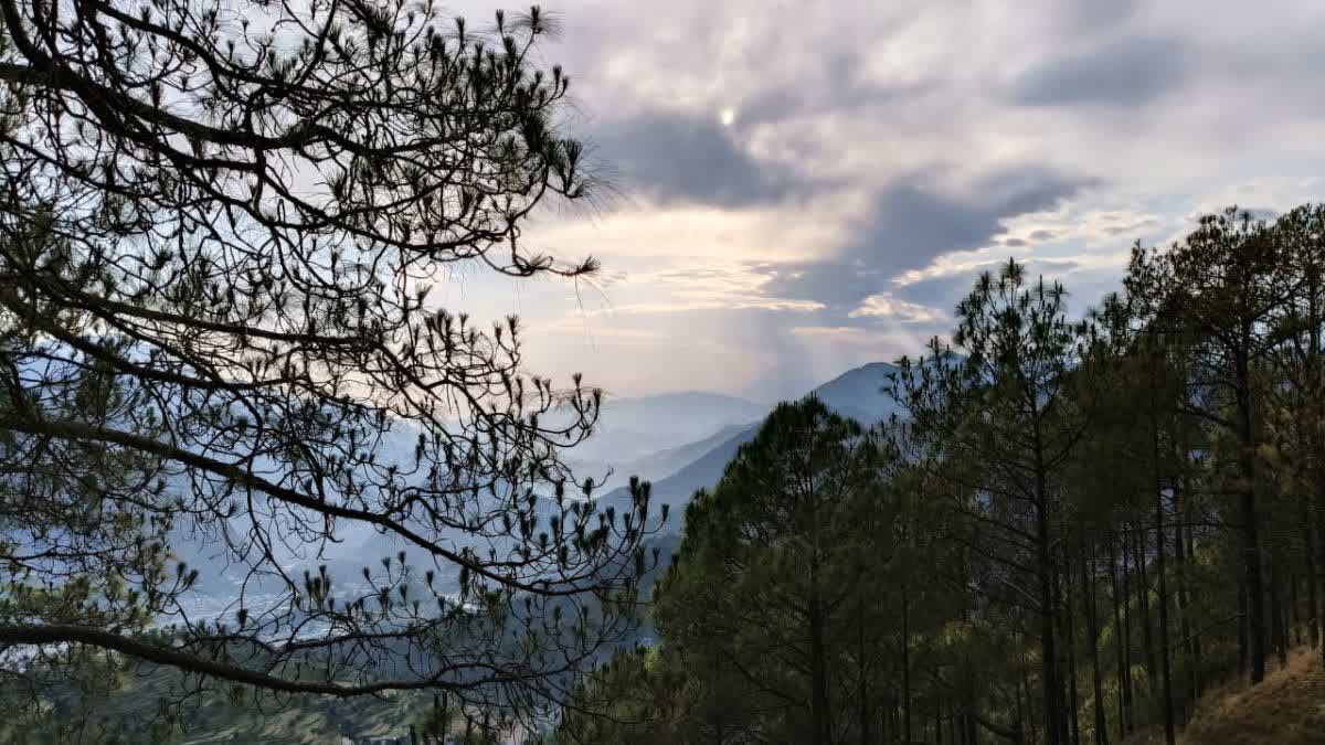 1200 675 24259697 thumbnail 16x9 weather