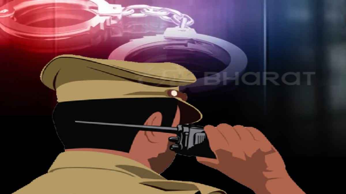 1200 675 24292313 thumbnail 16x9 pick n