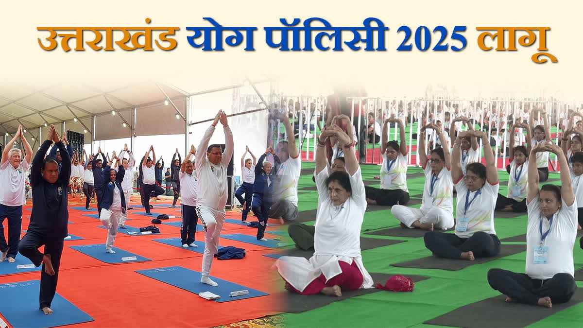 1200 675 24424224 thumbnail 16x9 yog policy 1