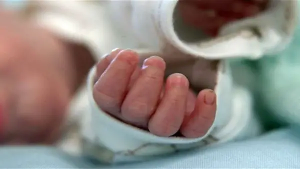 newbornbaby 1 1703542012