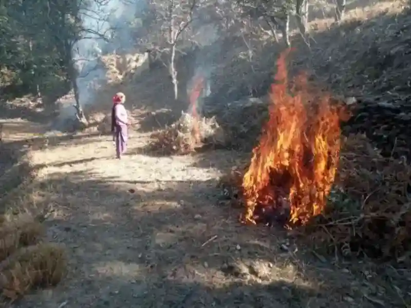 जंगलों को वनाग्नि से बचाने को 1 अप्रैल को ओण दिवस मनाये जाने की मांग 1 IMG 20240112 WA0010