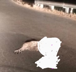 Screenshot 20240101 1958392