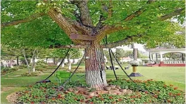 n5716127861704538761504e8cfa2c90eff76ce489ea06efa9202e76782b8d2c91ee7729e91aadbe82ff44c