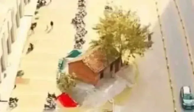 Screenshot 20240223 131528 Chrome