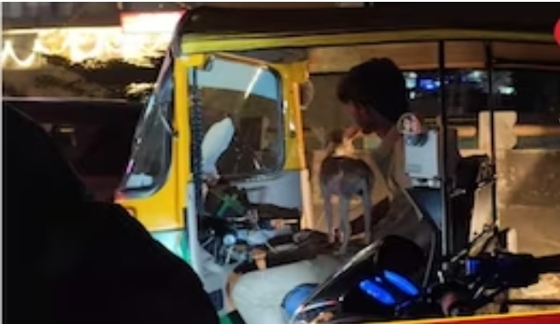Trending Video-Auto driver took his pet dog in the auto, video shadow on internet