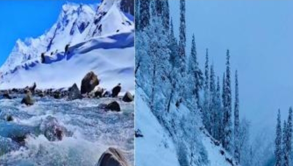 Screenshot 20240226 175928 Google