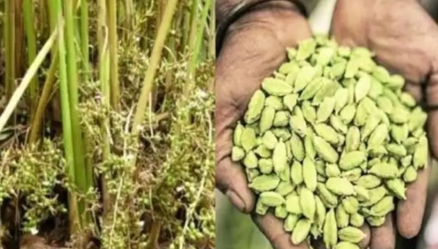 Screenshot 20240226 194915 Chrome