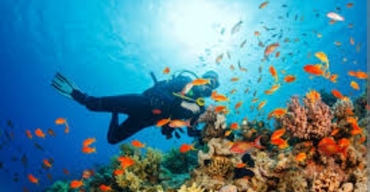 Best Scuba Diving Spots