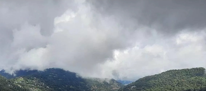 Screenshot 20240229 142543 Chrome