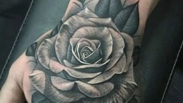 n58190278417075585031695da21b54d7a7762e9700859f2e4e0bfdeb82db6e0a1589708c35b8b7c6cff44c