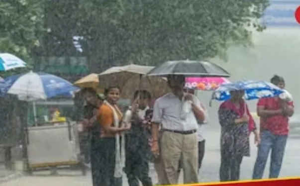 Screenshot 20240301 114636 Chrome