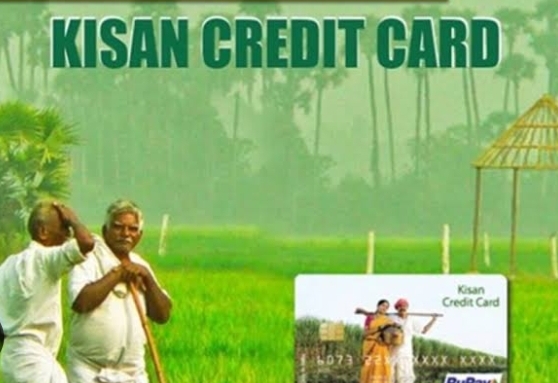 Screenshot 20240301 120836 Google