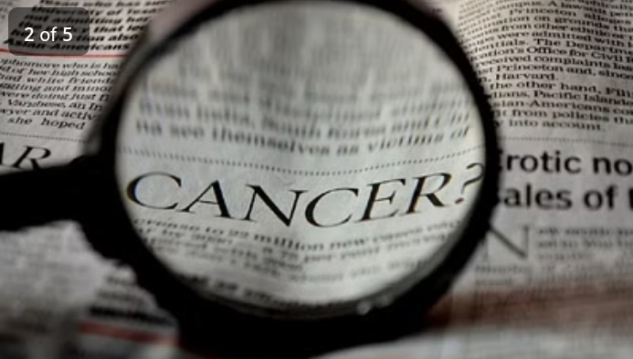 Screenshot 20240302 141816 Chrome