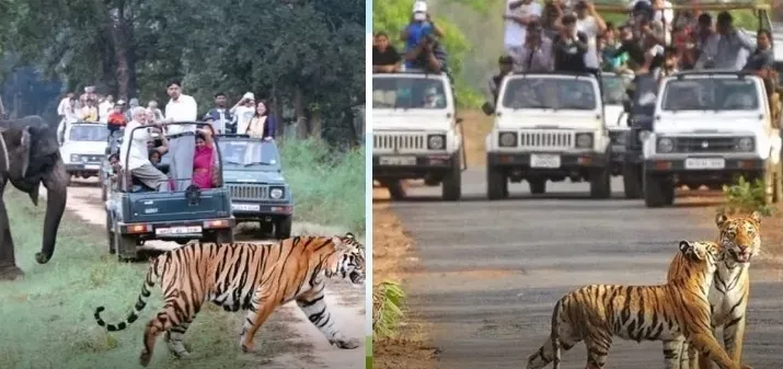 Screenshot 20240306 152236 Chrome