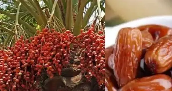 Screenshot 20240310 193708 Dailyhunt 1