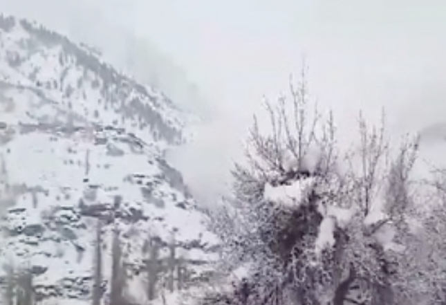 Screenshot 20240311 190424 Chrome