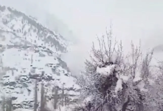 Screenshot 20240311 190424 Chrome