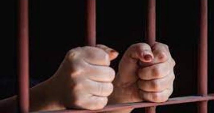 Screenshot 20240313 181042 Google