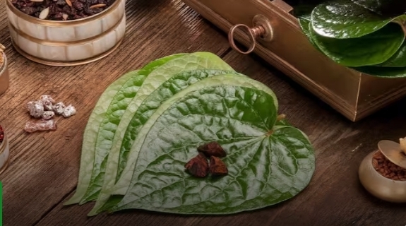 Screenshot 20240328 103014 Chrome