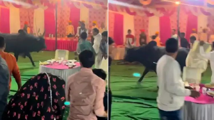 n590433418171014652817829c3d4cbe9b71b275e0cc2b807b9ef1b9b2b2bec3c51ec7de04706859dff3252