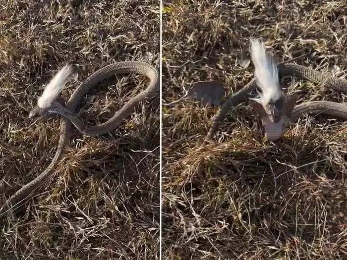 n595226950171160788654104d4c0ecb143dcde24813bab075013577c39571a801ad22a67a1ca33fb6aeadb