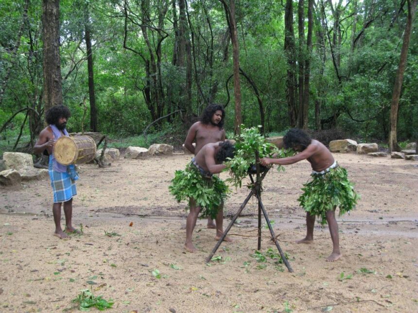 Shri Lanka vedda tribe