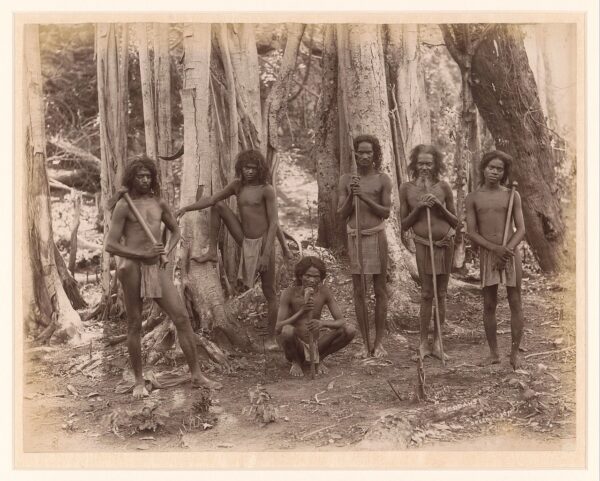 Groepsportret van Veddah mannen in de bossen van Ceylon Veddahs titel op object RP F F80068