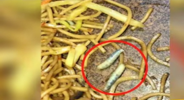 Screenshot 20240408 115454 Chrome