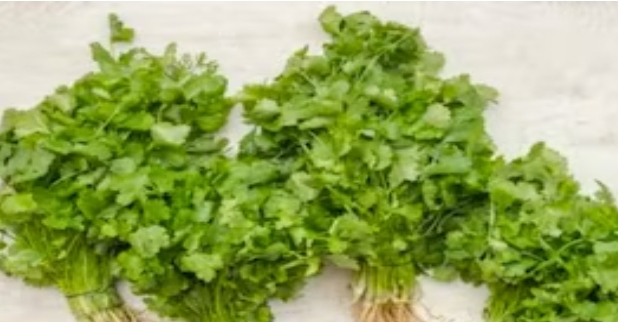 Screenshot 20240418 124159 Chrome