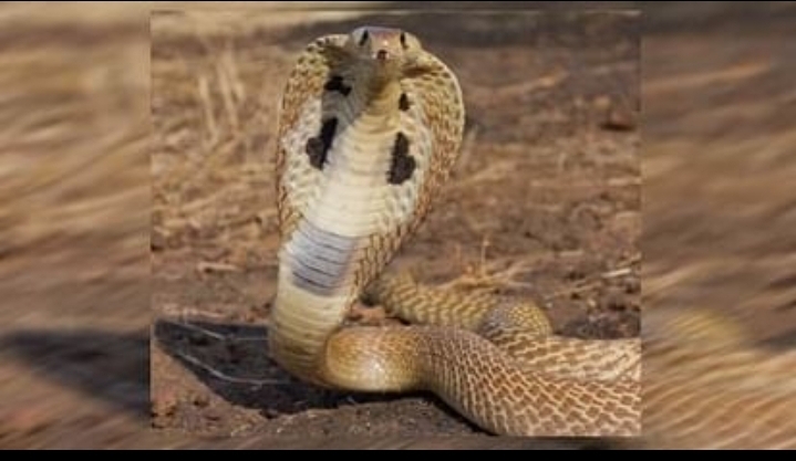 Screenshot 20240421 165805 WhatsApp