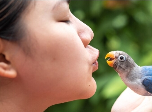 Screenshot 20240424 092923 Chrome