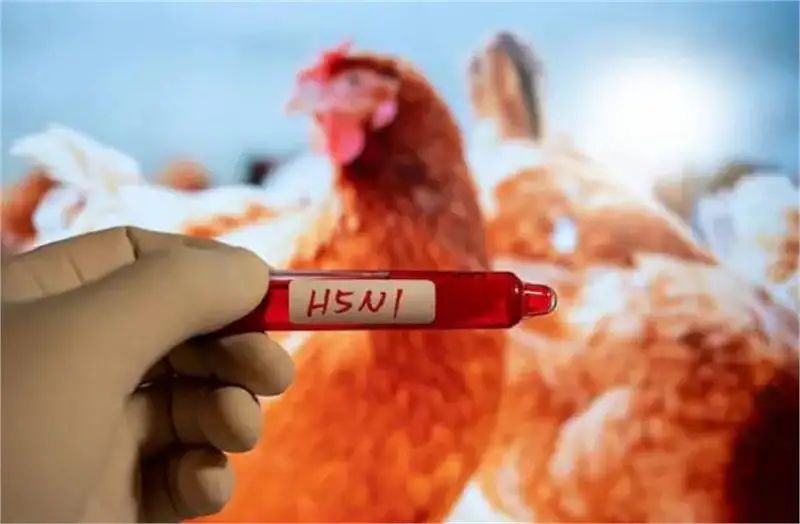 n6017992661713594433071d5bd157a7a16db28d694f84c8c865f71d393dbf30b7dc7d68eb3b454471019fe