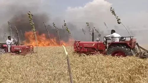 n60282730417139681032712d4bc8b59ad04f38557b67cebe2dc39e16293cdf269d3d3fe44e2d29bd8773cf