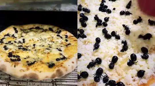 n6045919521714473246450d931a7ae00630944db0faba1d493d12cb7879016340320a5b222353d41bb3bf5