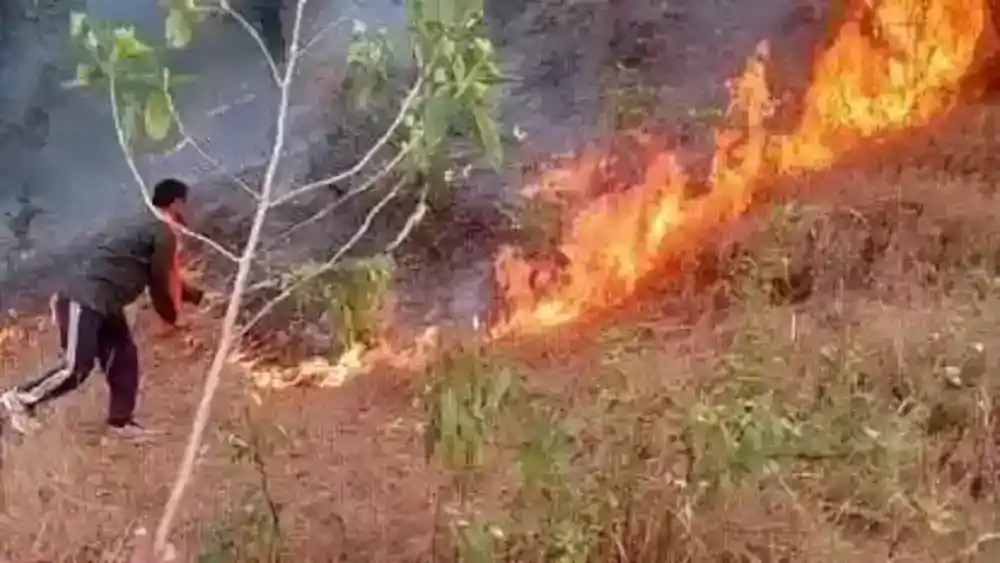 वनाग्नि की रोकथाम के लिए उतरी NDRF, वर्तमान तक 930 घटनाओं दर्ज, 5 की मौत 8 IMG 20240501 WA0007.webp?v=17