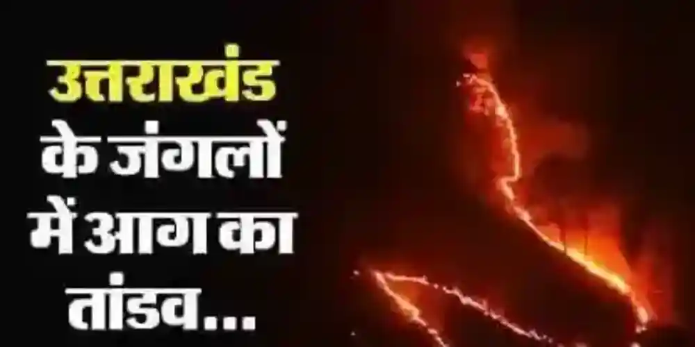पिथौरागढ़ में जंगल की आग ने मचाई तबाही, 111 जगहों पर लगी आग वहीँ 167 हेक्टेयर वन क्षेत्र खाक 9 IMG 20240507 WA00061.webp?v=17