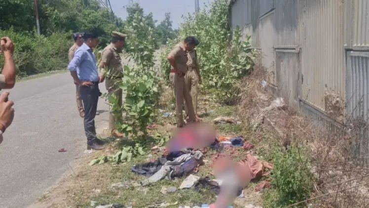 n6063469841715056440758469add71d2114d35abcd299e8dce24f88f968cbab4642485c073da7ad6558de0