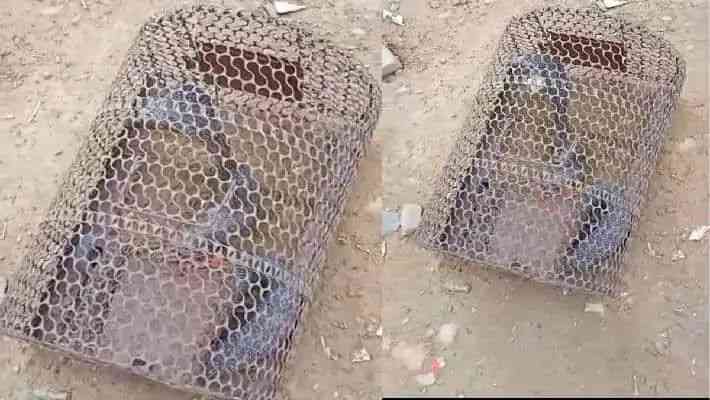 n6077140101715499361498f5cc0213353f42d9f655e9c1976db10ecfe694e7a2dd2f217eaf9ee7a07dc94a