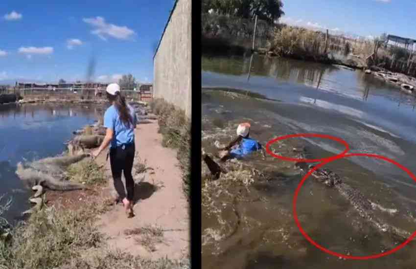 n613590596171724564635122c98acf938ecbe5145e0a02d3b1a96d037f0e241c6c93f9bf1089d78f4f64c7