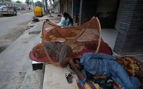 n61956577917194700431330e40927dfff995e68be13a9fcaa9e1737e0abd019b0f4cbb9282689556a8fc1f