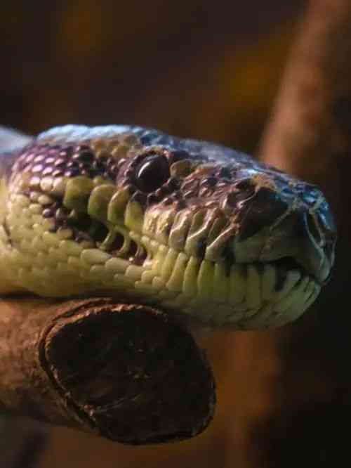 n61972565517195701872400b0e3b08b37b469695fb11f2217b19f3edadd82c1c6edb2fbca877d0787060d9