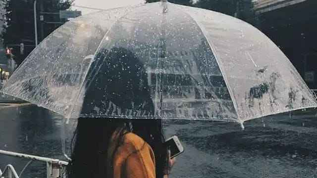 IMD warns of heavy rains in three districts of the state, issues yellow alert