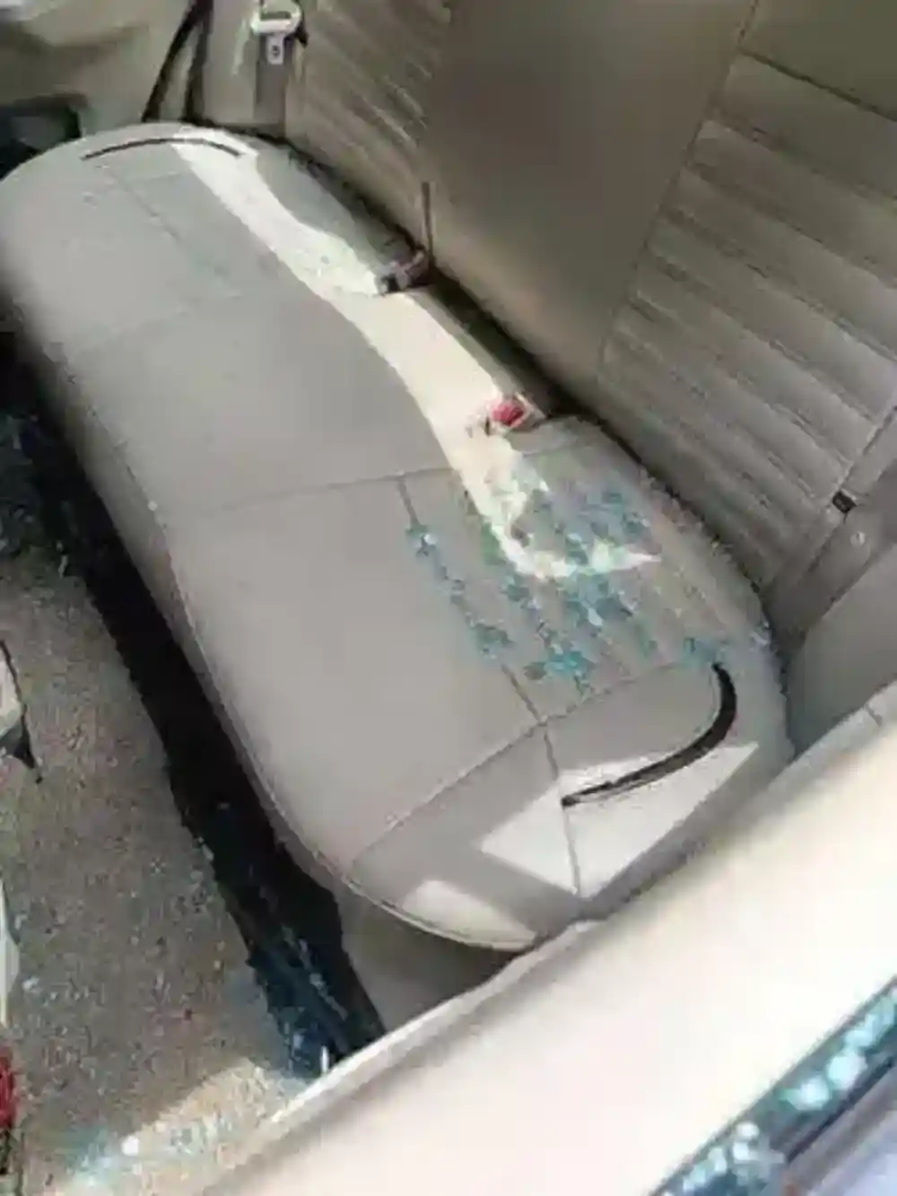 पिथौरागढ़ में अराजक तत्वों का कहर: मंदिर और वाहनों को बनाया निशाना 4 Unruly elements wreak havoc in Pithoragarh: temples and vehicles targeted