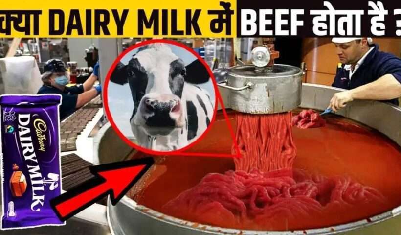 How is Dairy Milk Chocolate made in India, does it contain beef? Know the whole truth