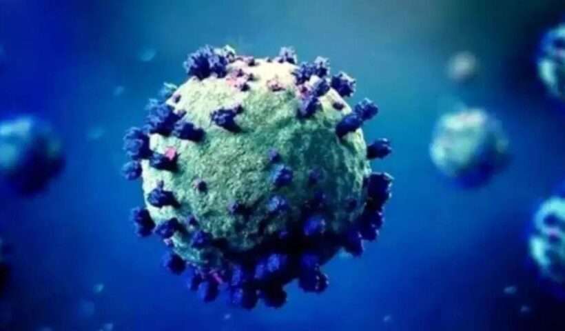 Another new virus found in China, one patient went into coma, directly affects the brain