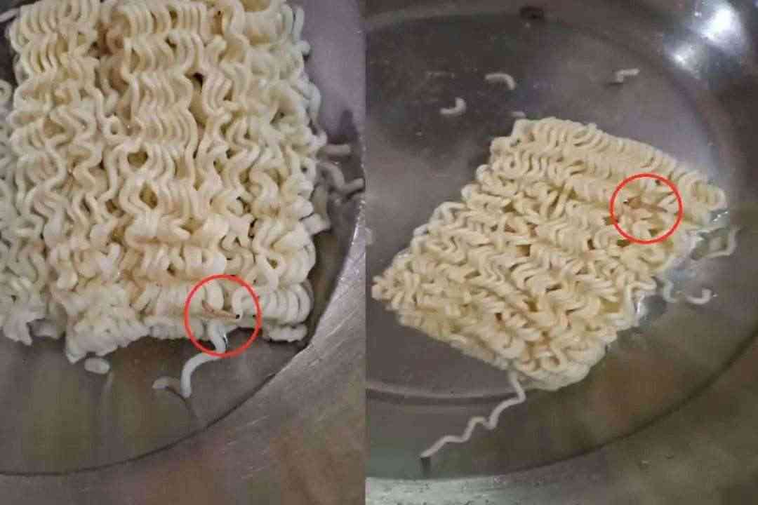 If you are also fond of Maggi then be careful, there is something in Maggi, after knowing which you will hardly eat Maggi again