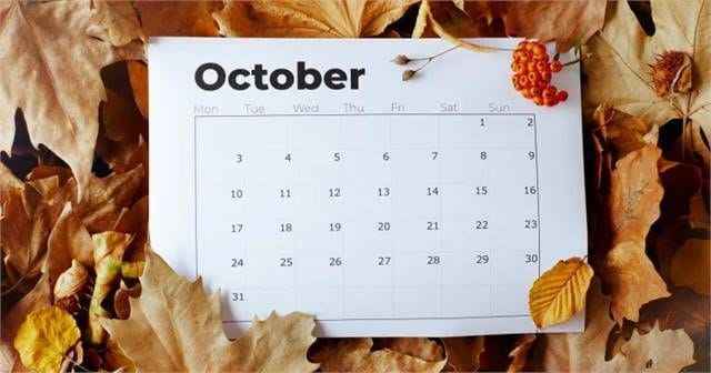 Special Holiday 2024: There will be a public holiday on October 2 and a special holiday has also been announced on October 5, know why?