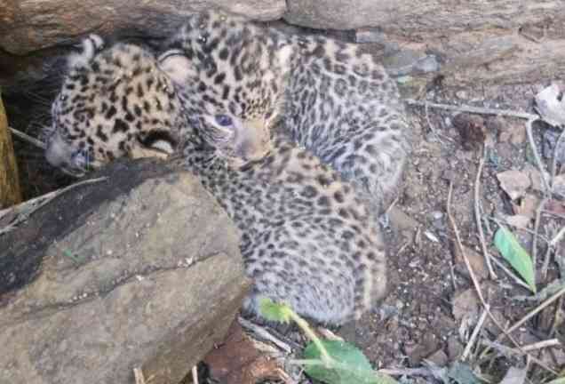 Screenshot 20240921 164242